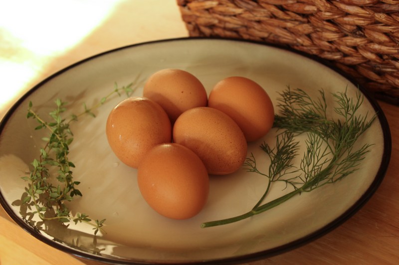blog_egg_salad-1