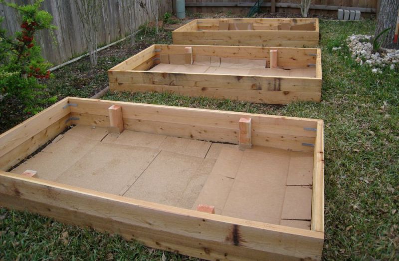 Constructed garden beds, lined with cardboard