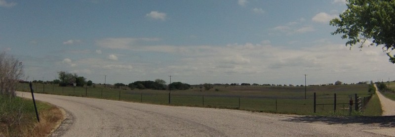 Can you see the bluebonnets in the field?