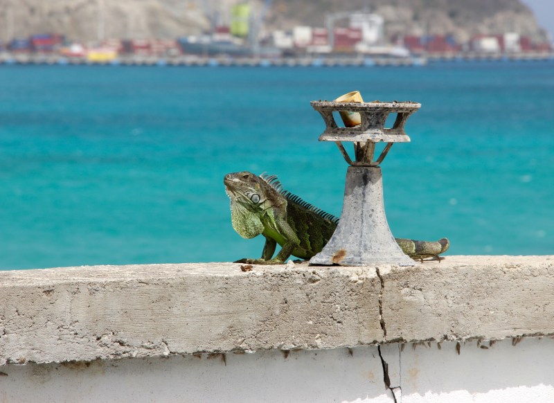 Evernote Camera Roll 20150629 220926