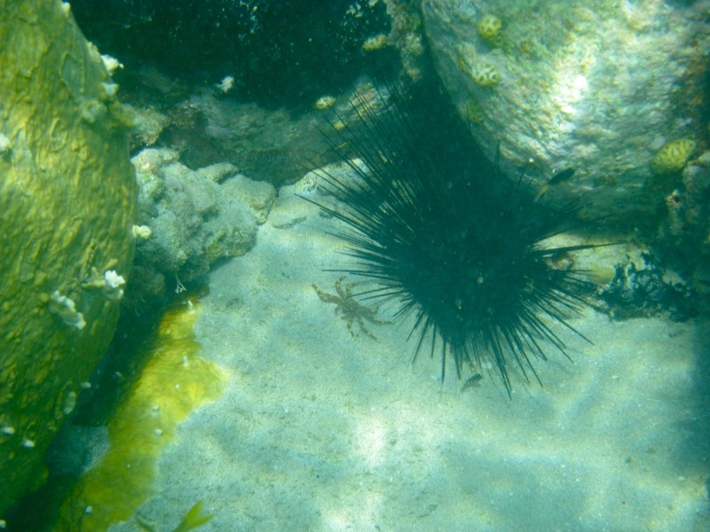 Evernote Camera Roll 20150630 201247_2