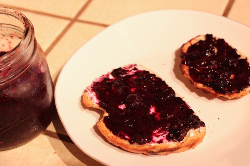 BlueberryJam-7